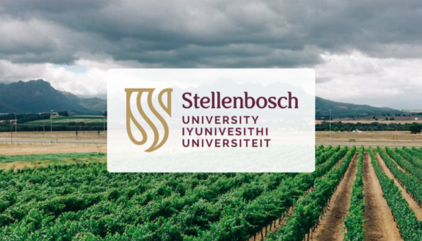Stellenbosch University selects Symplectic Elements to support and streamline research outputs submissions to the DHET