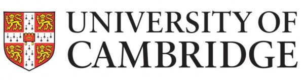 Research Excellence Framework (the REF) 4